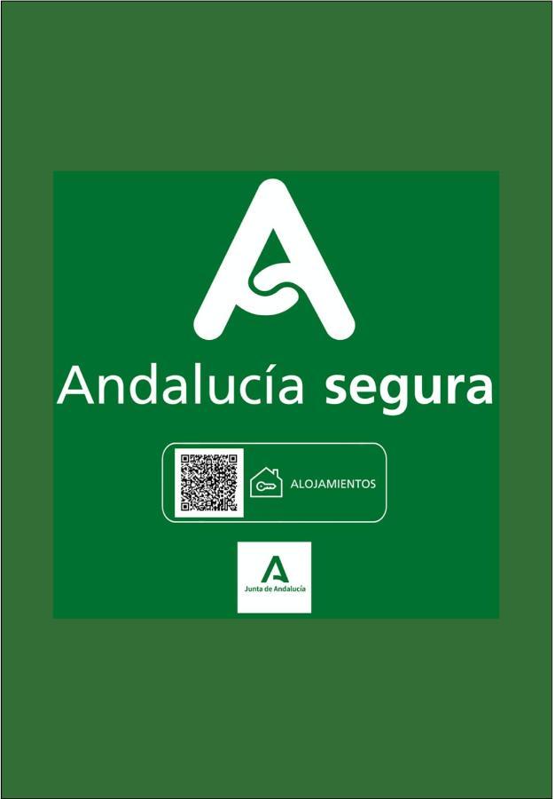 Appartamento Holidays2malaga Constitucion High Speed Wifi