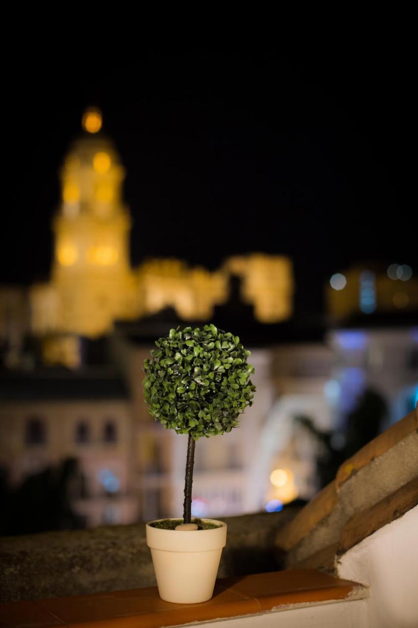 Holidays2malaga Constitucion High Speed Wifi * Málaga